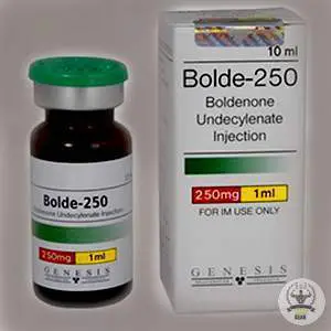 Bolde 250