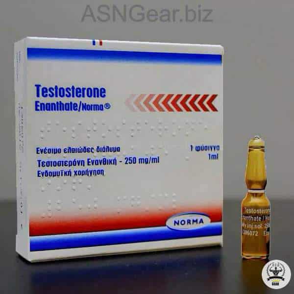 Norma Testosterone Enanthate