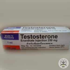 The transformative journey of using Rotexmedica Testosterone Enanthate