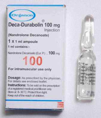 Deca Durabolin Organon From Holland