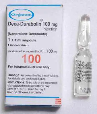 Deca Durabolin Organon From Holland