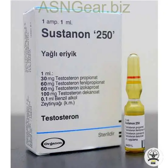 Organon-Sustanon-250 Reviews