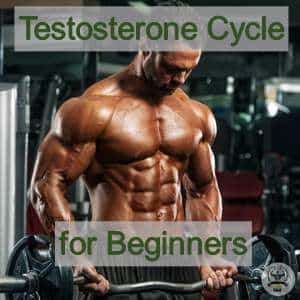 Best Testosterone for Bulking