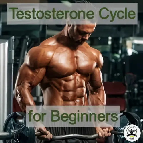 Best testosterone cycle for beginners, boost muscle growth, strength, and recovery with a balanced cycle designed for safe and effective results.