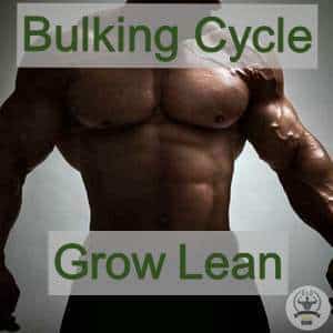 Bulking Cycle | Best Lean Steroid Cycle