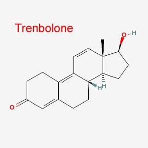 Trenbolone Cycle