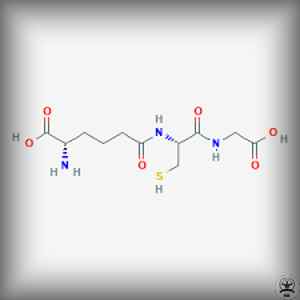 Gonadotropin