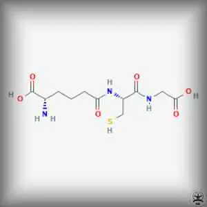 HCG (Human Chorionic Gonadotropin)