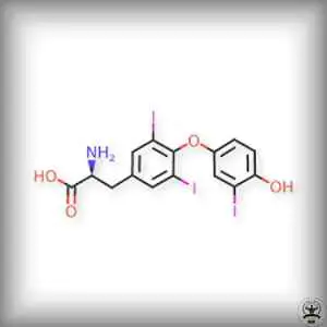 Liothyronine (T3)