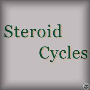 Steroid Cycles