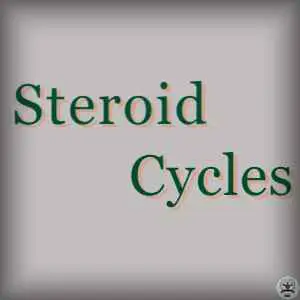 Steroid Cycles