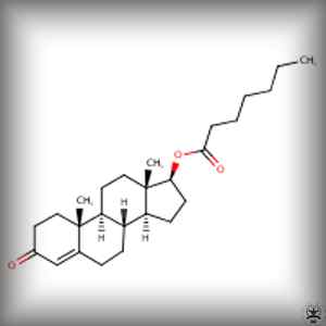 Testosterone Enanthate