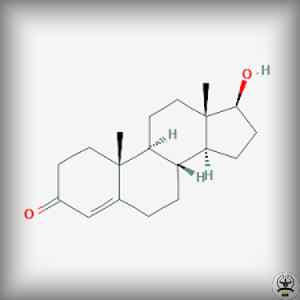 Testosterone