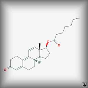 Trenbolone Enanthate