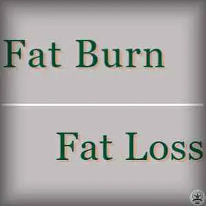 Fat Burn - Fat Loss