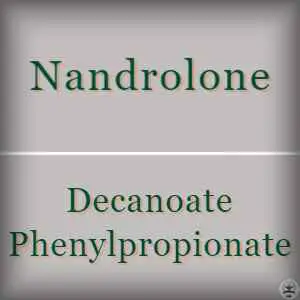 Nandrolone Steroids