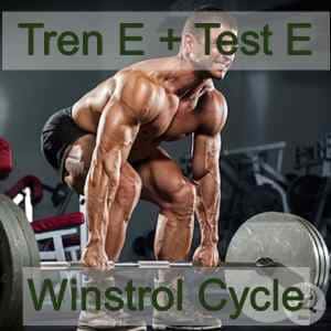 Tren E Test E Cycle