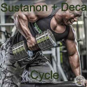 Sustanon Deca Stack