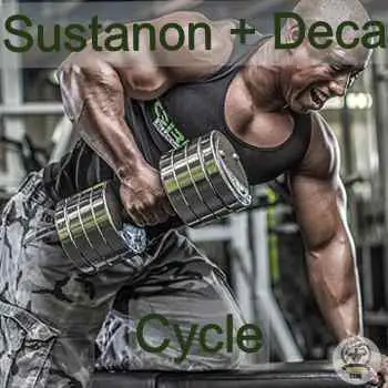 sustanon deca stack